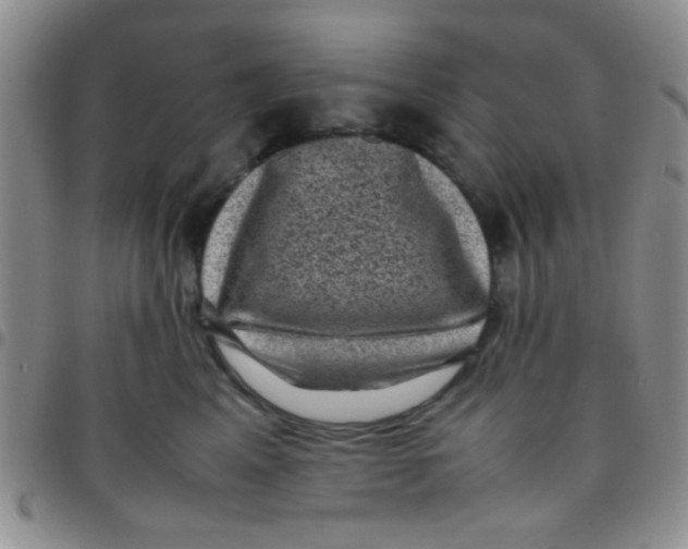 X0000097500617200803142021