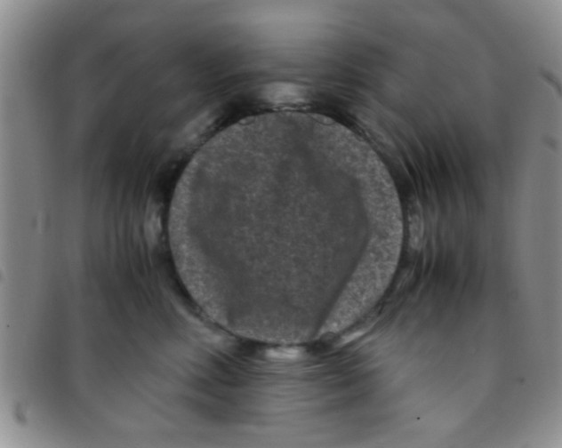 X0000097500618200803142021