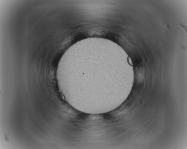 X0000097500619200803142021