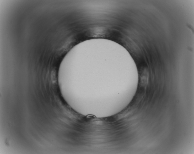 X0000097500620200803142021