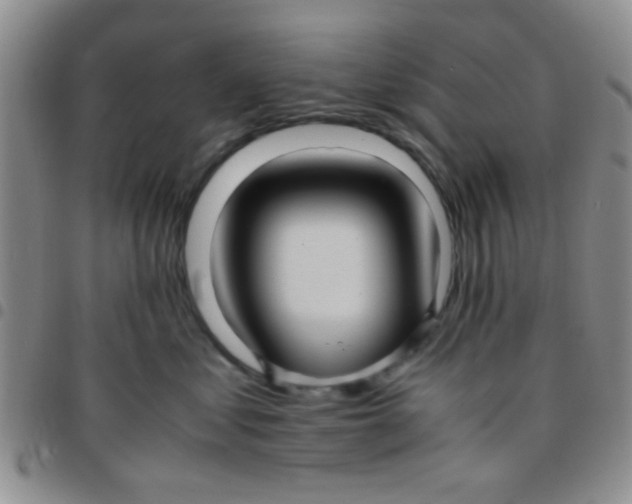 X0000097500621200803142021