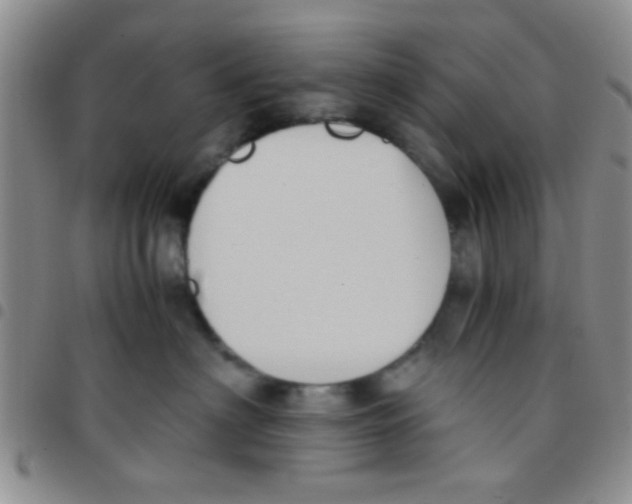 X0000097500622200803142021