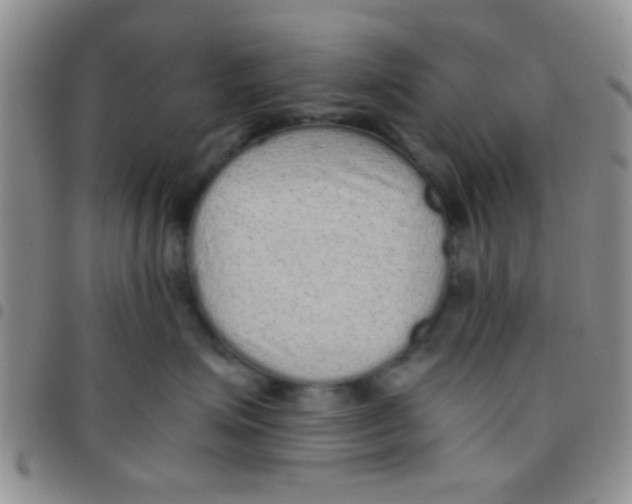 X0000097500623200803142021