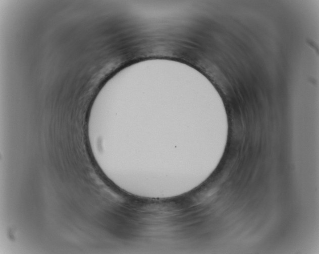 X0000097500625200803142020