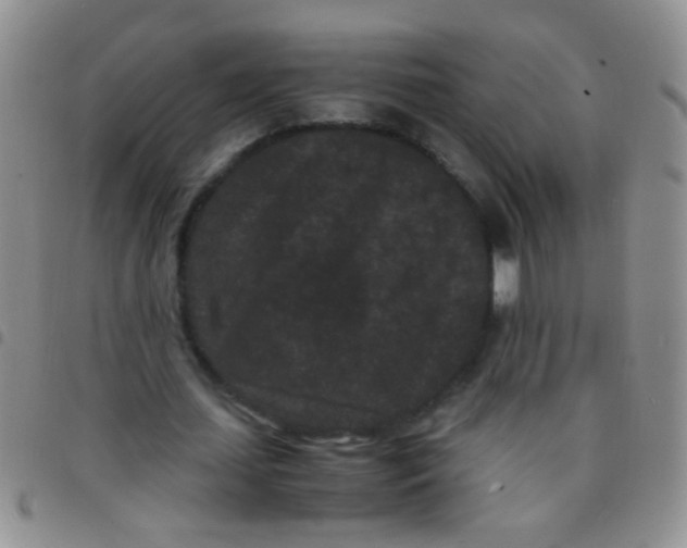 X0000097500627200803142020