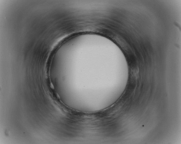 X0000097500628200803142020