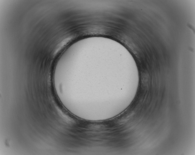 X0000097500629200803142020