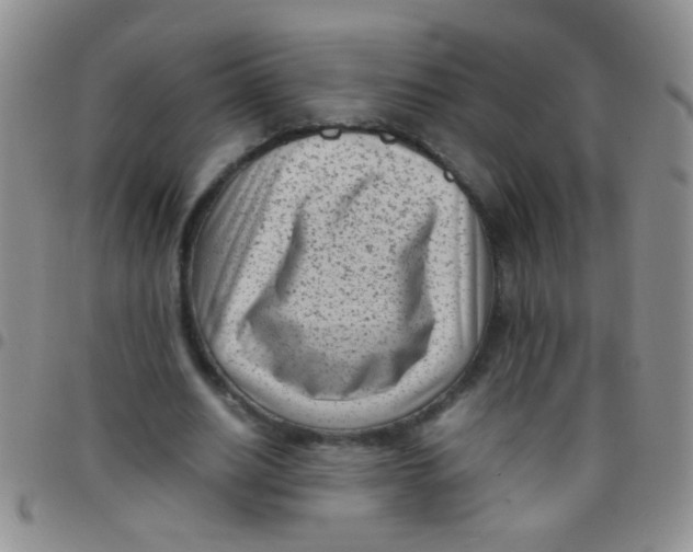 X0000097500630200803142020