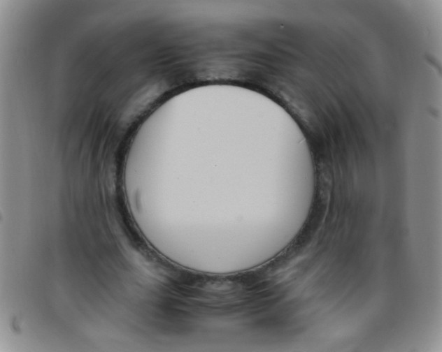 X0000097500631200803142020