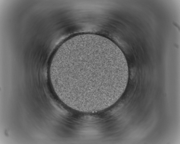 X0000097500632200803142020