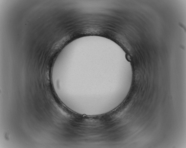 X0000097500633200803142020