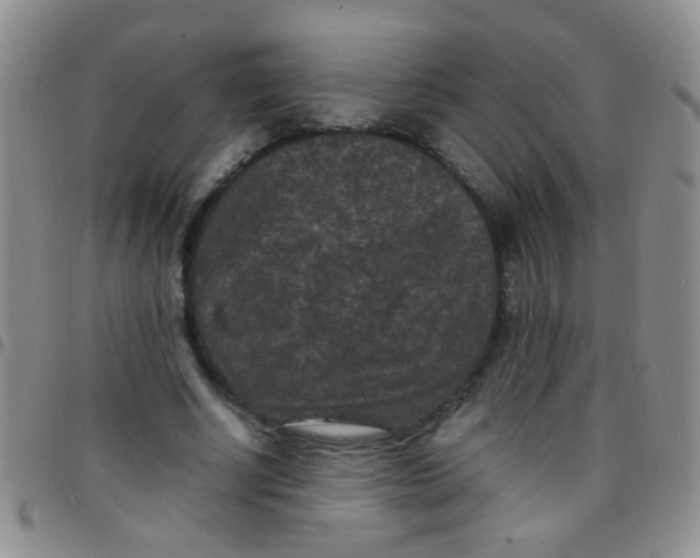 X0000097500634200803142020