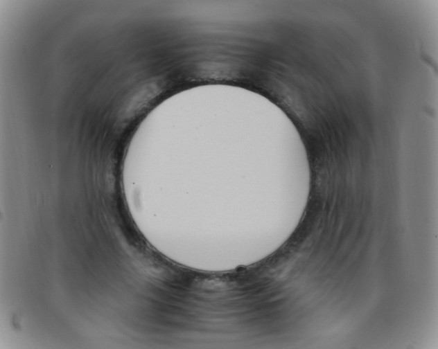 X0000097500635200803142020