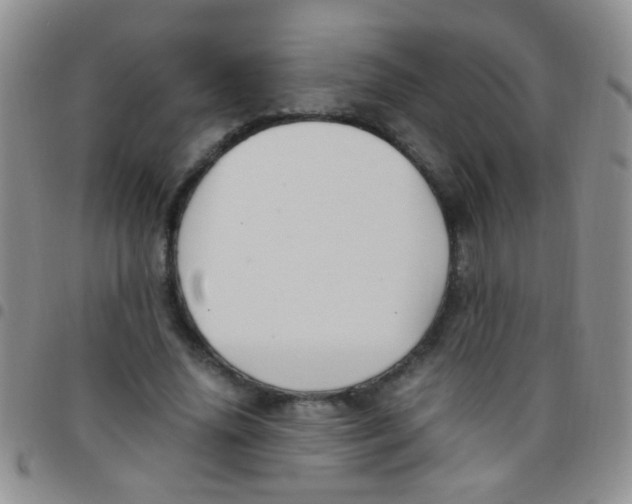 X0000097500636200803142020