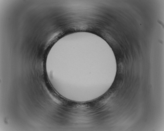 X0000097500638200803142020