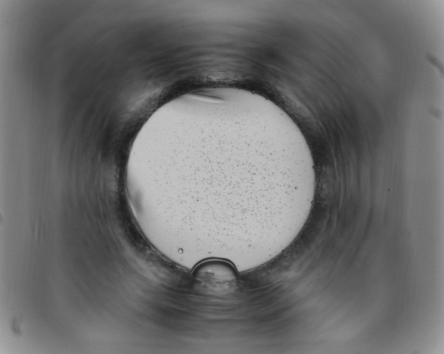 X0000097500639200803142020