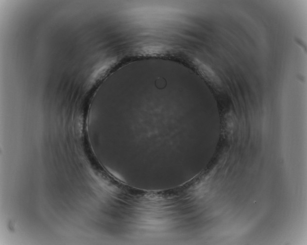 X0000097500640200803142020