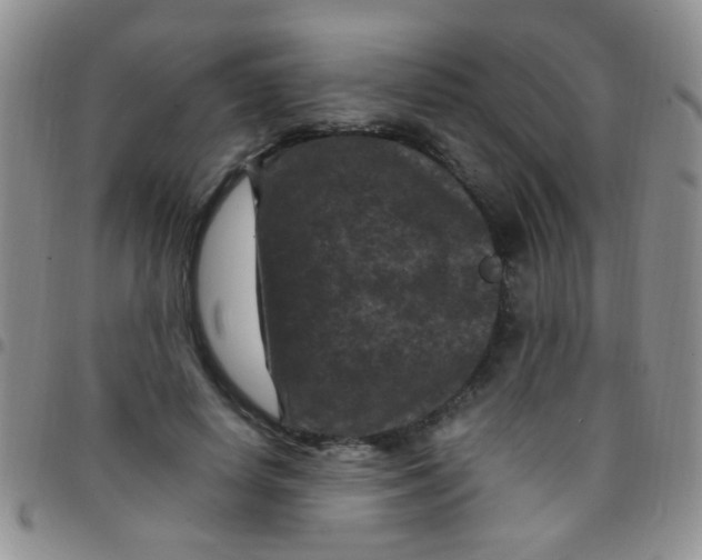 X0000097500642200803142020