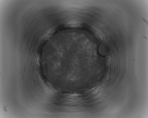 X0000097500643200803142020