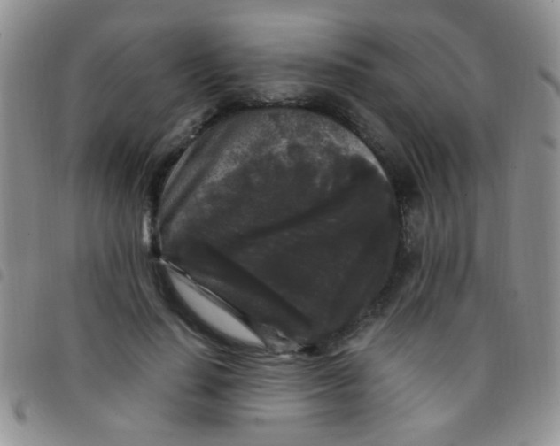 X0000097500644200803142020