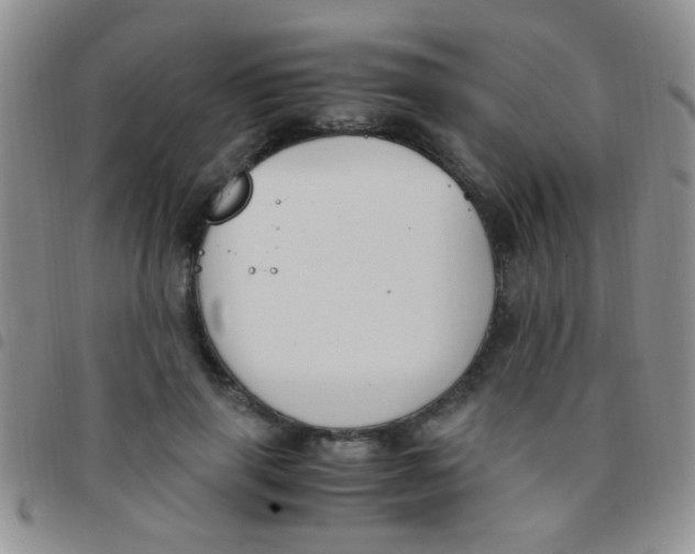 X0000097500645200803142020