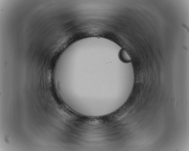 X0000097500646200803142020