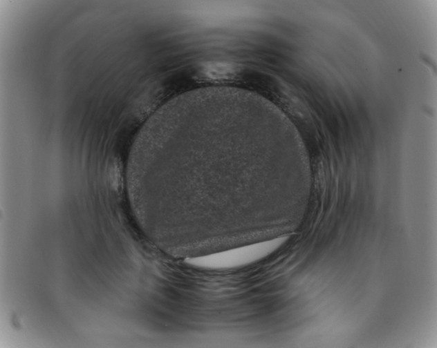 X0000097500651200803142020