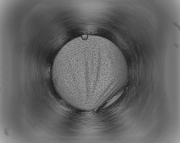 X0000097500652200803142020