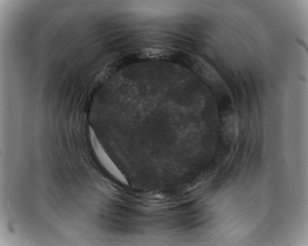 X0000097500653200803142020