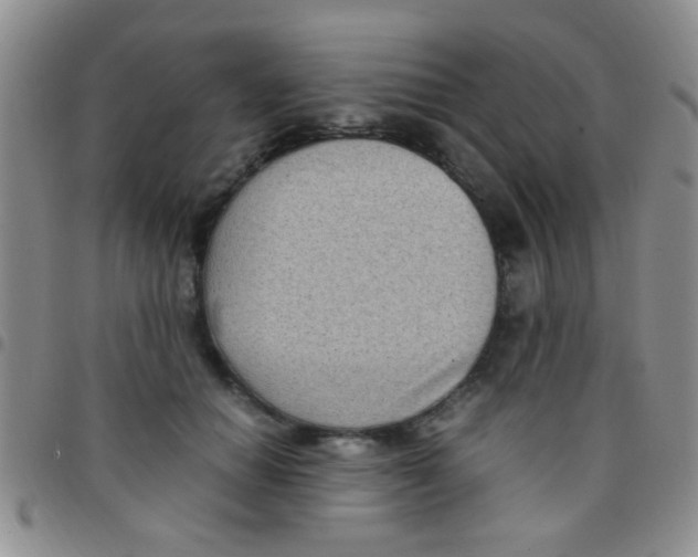 X0000097500654200803142020