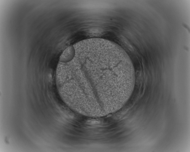 X0000097500655200803142020