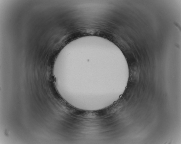 X0000097500656200803142020