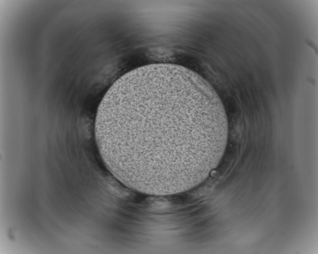 X0000097500658200803142020