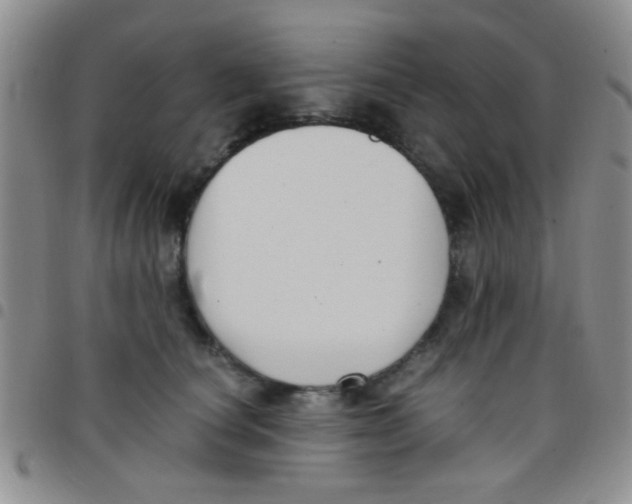 X0000097500660200803142020