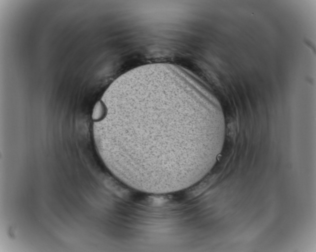 X0000097500662200803142020