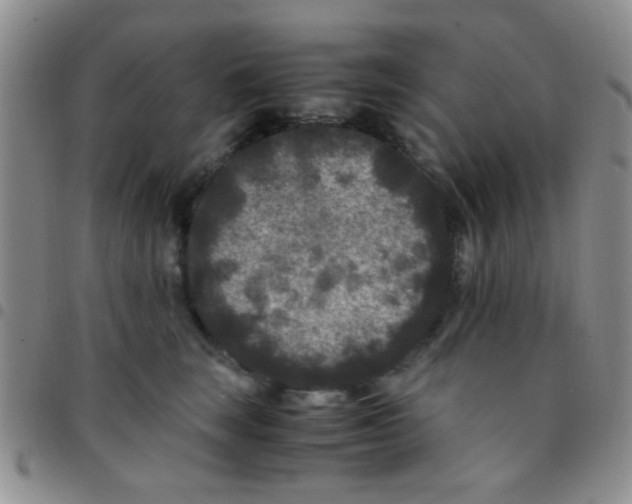 X0000097500663200803142020