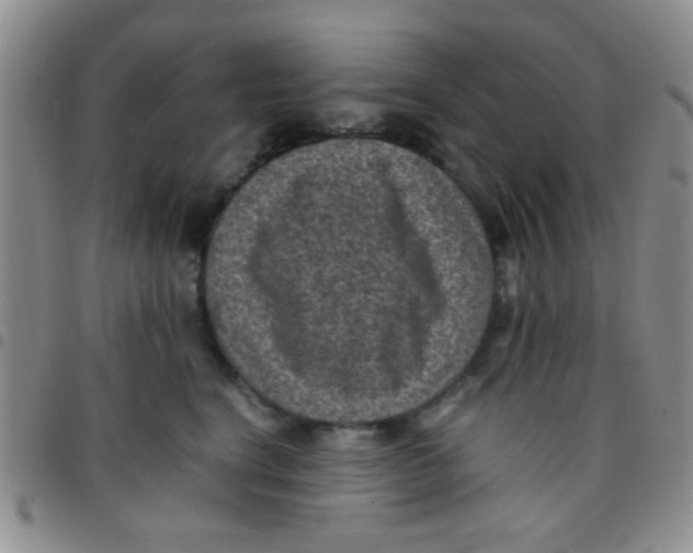 X0000097500664200803142020