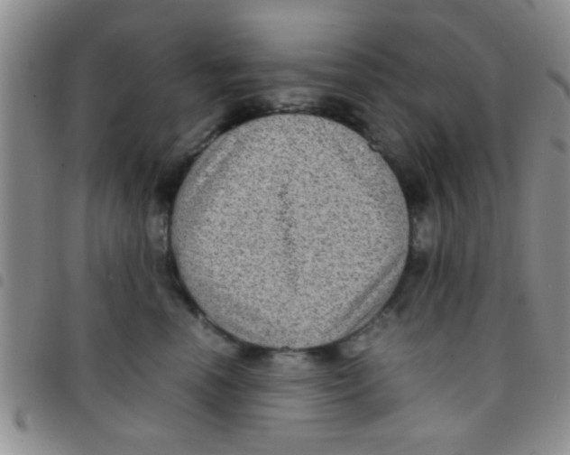 X0000097500666200803142021