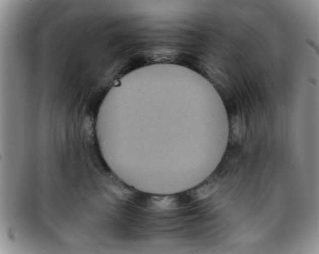 X0000097500667200803142021