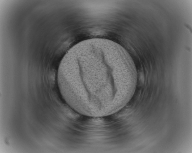 X0000097500668200803142021