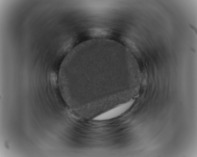 X0000097500669200803142021