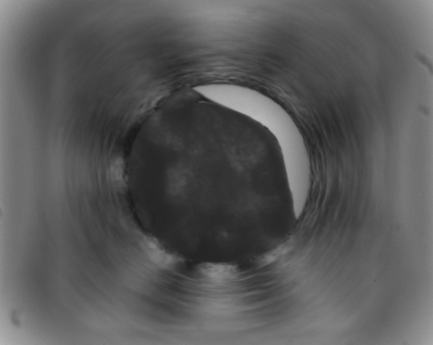 X0000097500670200803142021