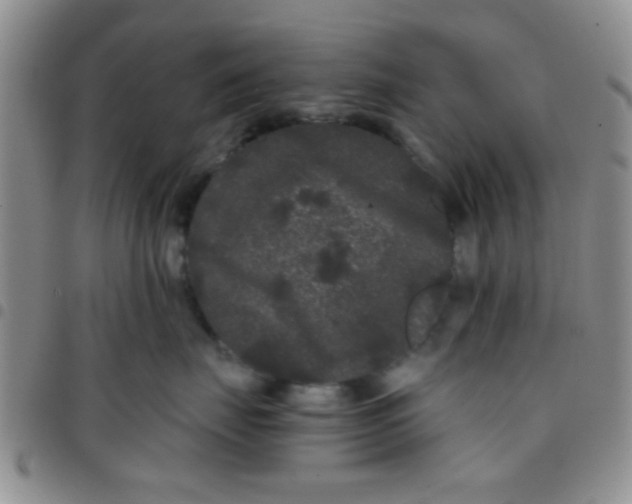 X0000097500671200803142021