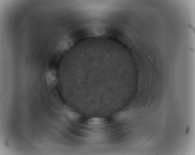 X0000097500672200803142021