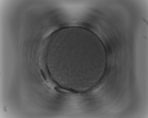 X0000097500673200803142020