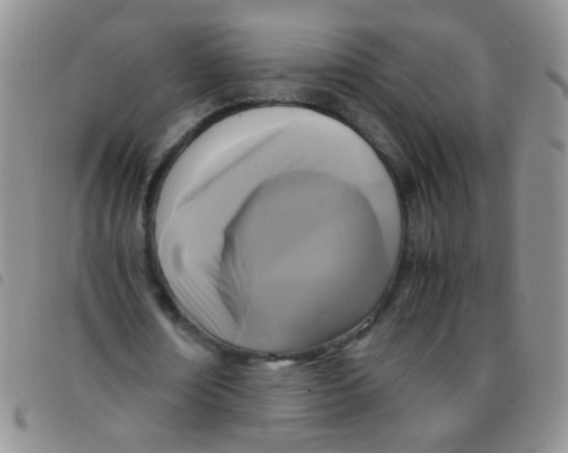 X0000097500674200803142020