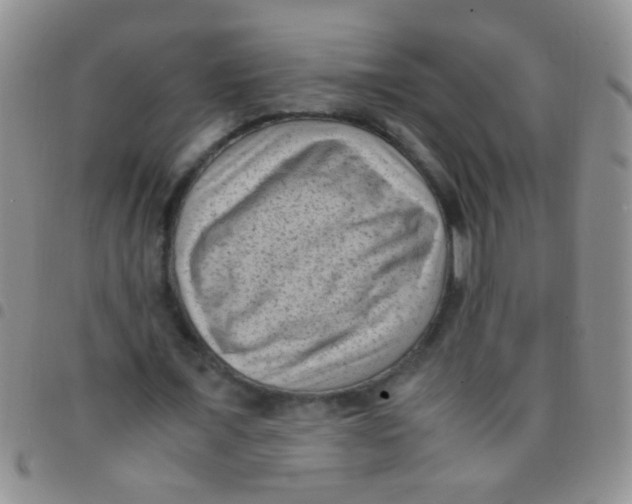 X0000097500675200803142020