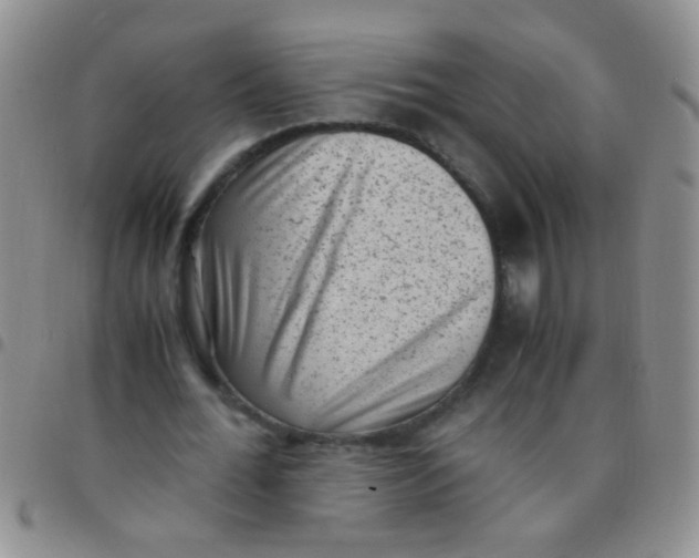 X0000097500676200803142020