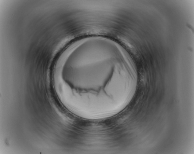 X0000097500678200803142020