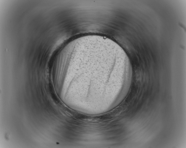 X0000097500680200803142020